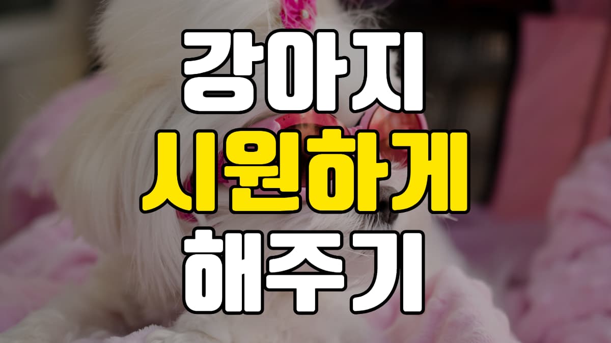 강아지-시원하게