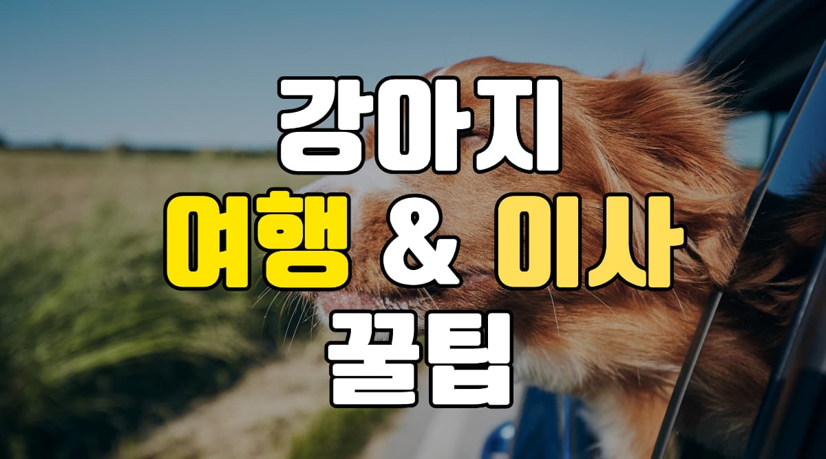강아지-여행-이사