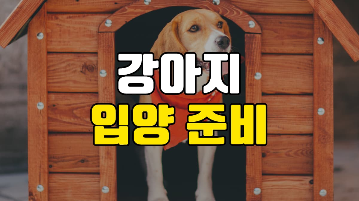 강아지-입양-준비사항
