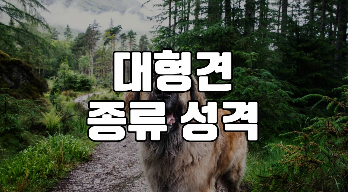 대형견-품종-성격
