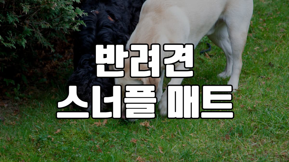 반려견-스너플-매트