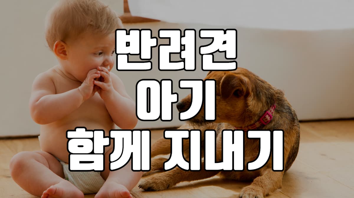 반려견-아기
