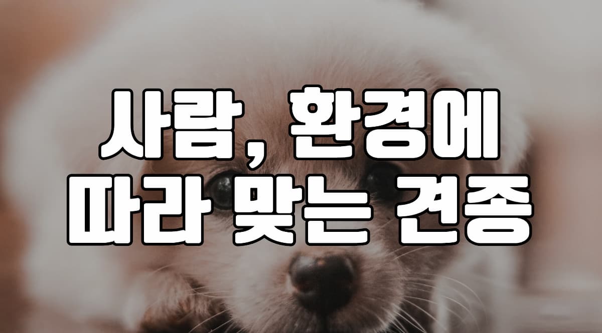 사람-견종