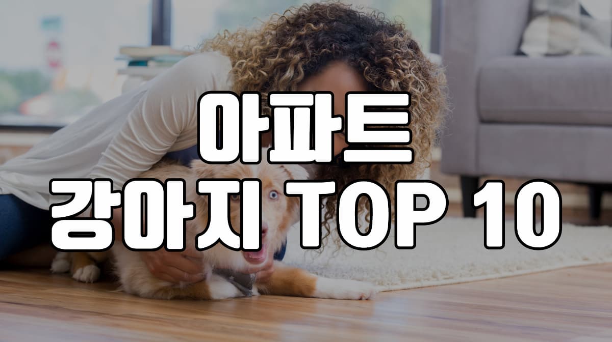 아파트-강아지