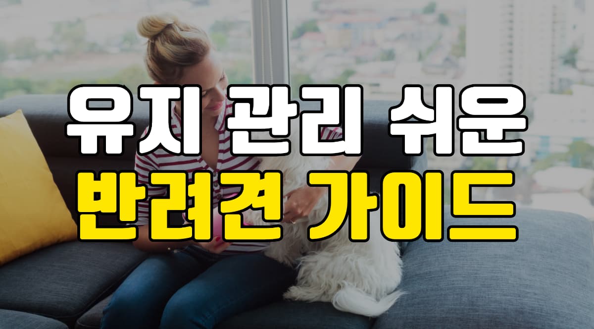 유지-관리-반려견