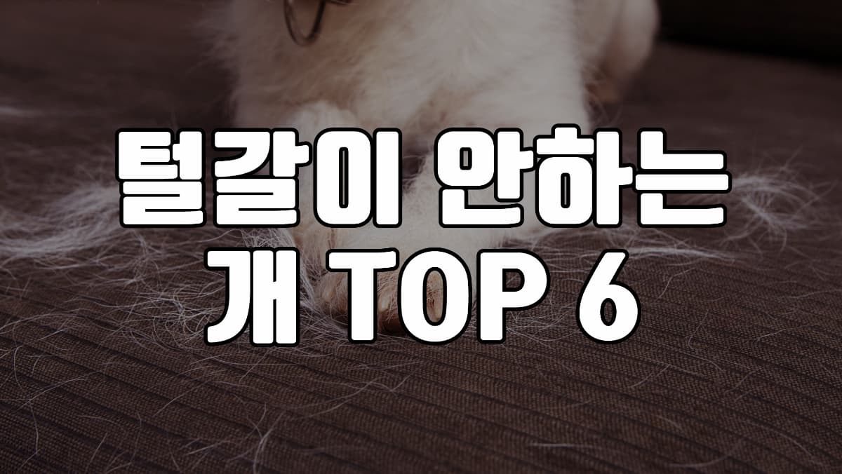 털갈이-안하는-개