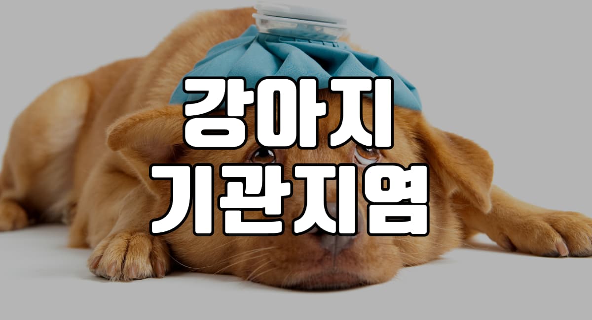 강아지-기관지염