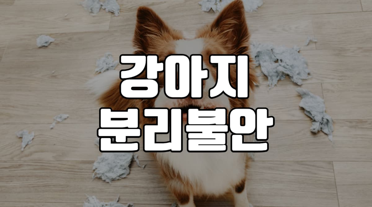 강아지-분리-불안