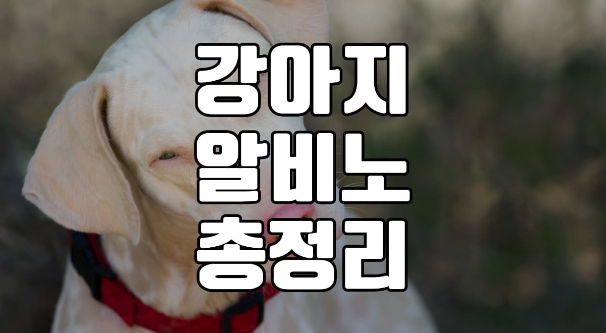 강아지-알비노