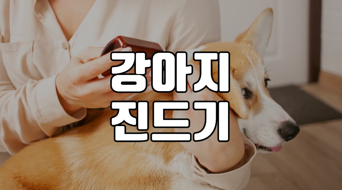강아지-진드기