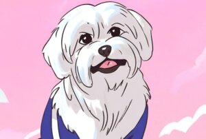 말티즈-성격