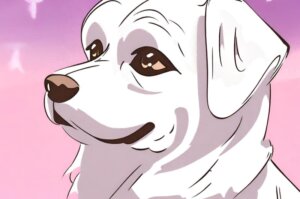 말티즈-크기