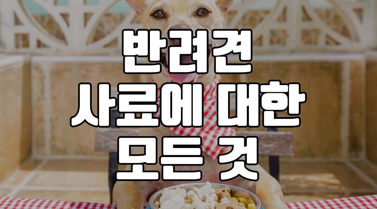 반려견-사료