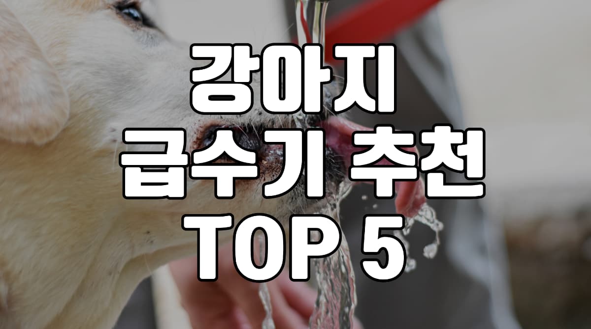강아지-급수기-추천