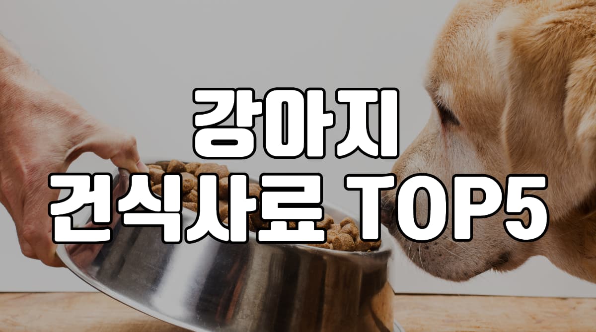 강아지-사료-추천
