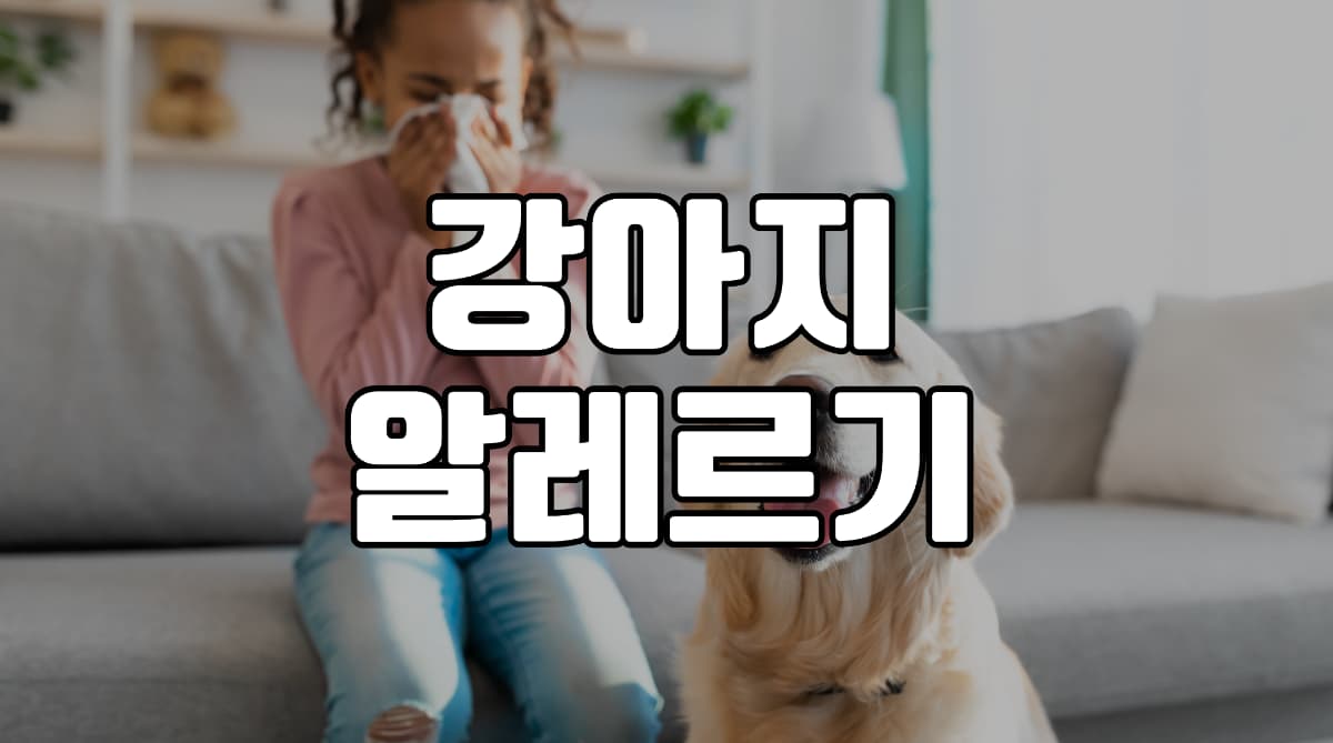 강아지-알레르기