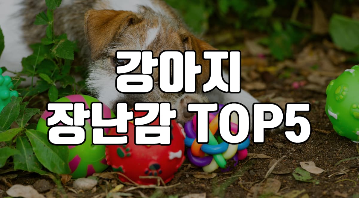 강아지-장난감-추천