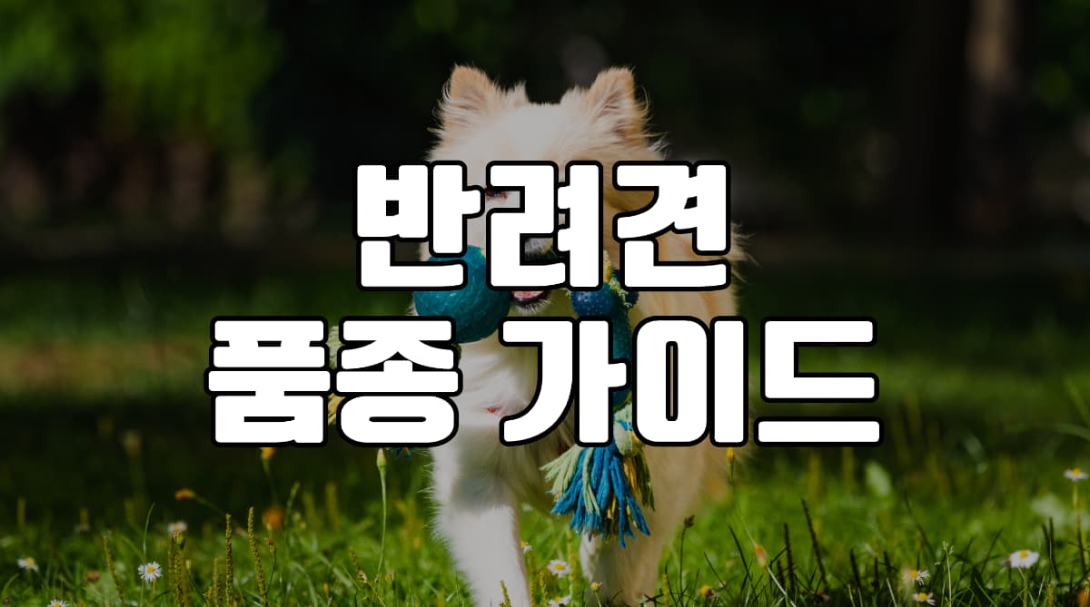 반려견-품종-가이드