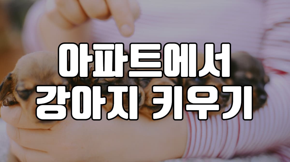 아파트-강아지-키우기