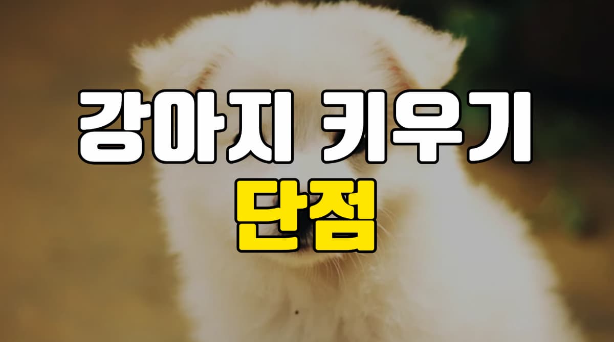 강아지-키우기-단점